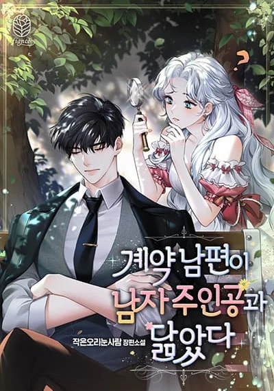 My Contract Husband Resembles the Male Protagonist สามีกำมะลอ… กลับหน้าตาเหมือนพระเอกในนิยายซะงั้น?!
