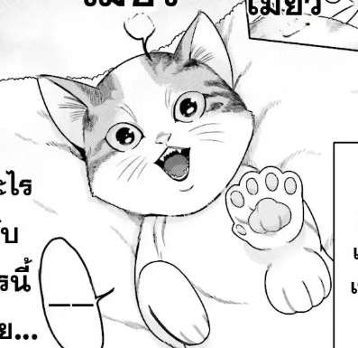 ตอนที่ 5