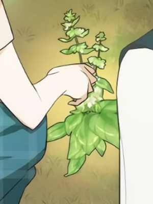ตอนที่ 19