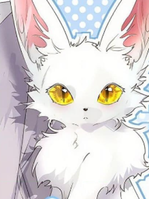 ตอนที่ 12
