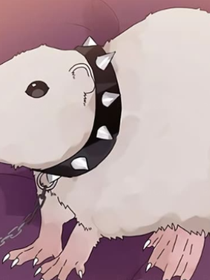 ตอนที่ 12