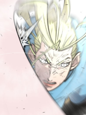 Chapter 79.0