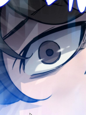 Chapter 68.0