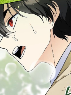 Chapter 31.0