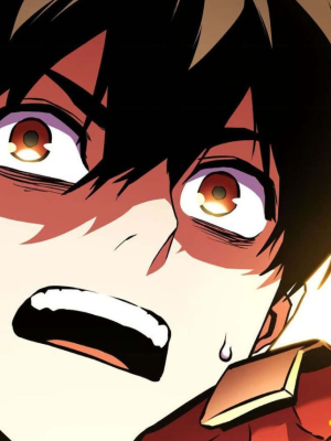 Chapter 161.0