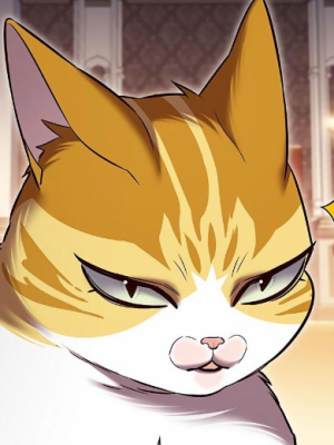 Chapter 256.0