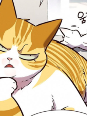 Chapter 188.0
