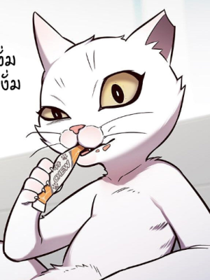 Chapter 153.0