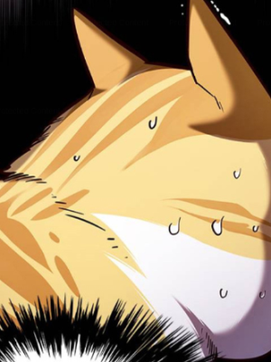 Chapter 139.0