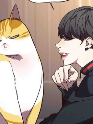 Chapter 91.0