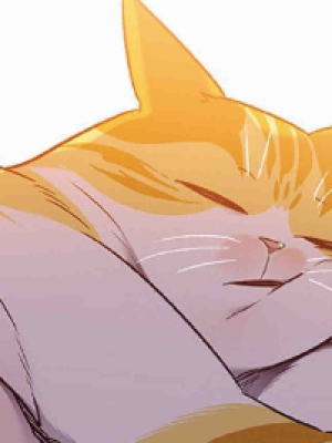 Chapter 70.0