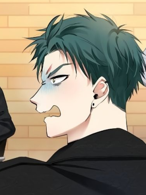 Chapter 40.0